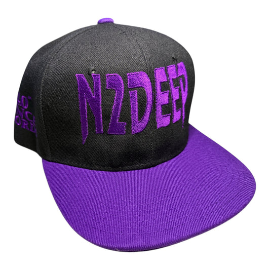 N2DEEP Black & Purple Snapback Hat